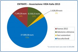 Entrate VIDA 2013